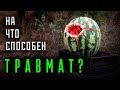 Насколько опасен ТРАВМАТ?