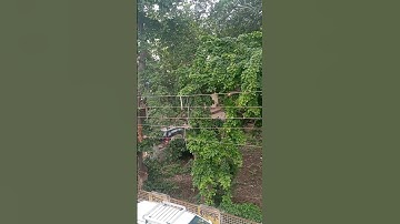 *Amazing slider card ideas for guru purnima* 😍🩷💫💖#Card making # Gift ideas @Officialnishikajain