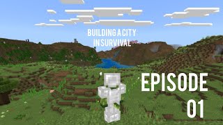 I'm building a city in survival Minecraft | EP1