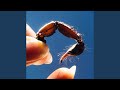 Miniature de la vidéo de la chanson Cowards