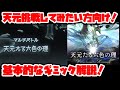 【グラブル】天元たる六色の理　挑戦してみたい方向け！　ギミック解説動画！【GBF】 Hexachromatic Hierarch