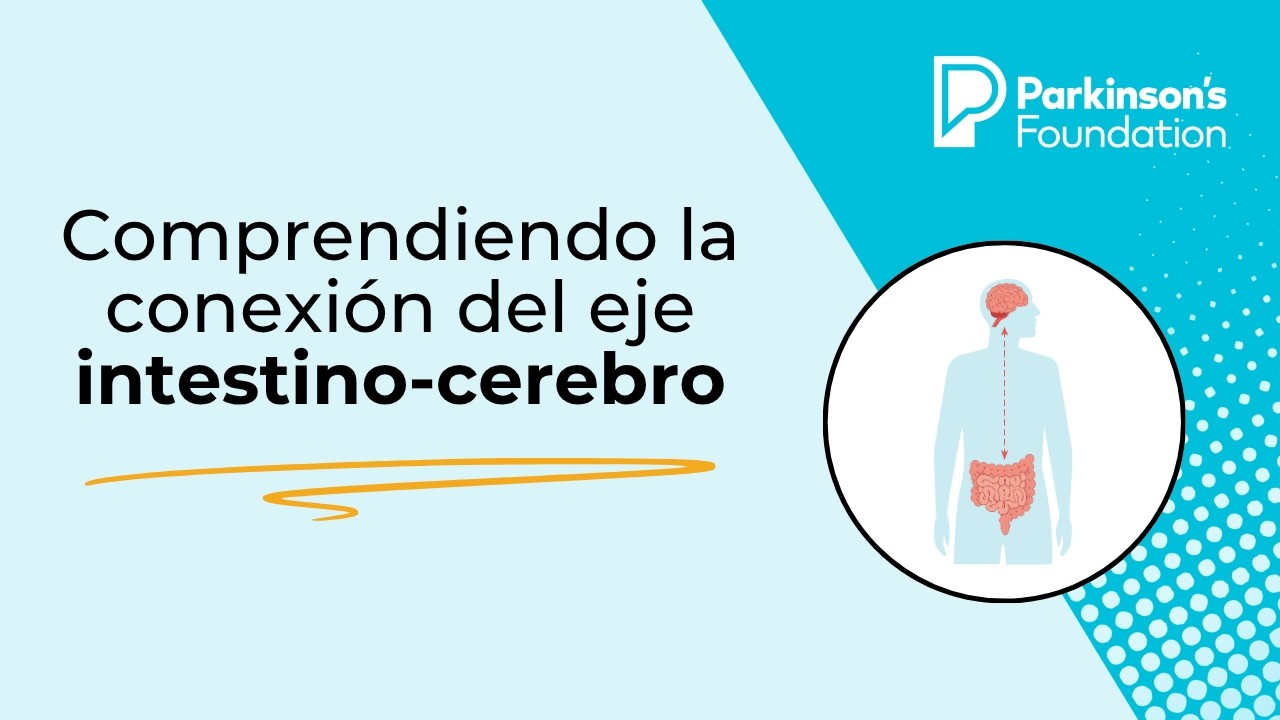 Comprendiendo la conexión del eje intestino-cerebro en la EP | Parkinson's Foundation