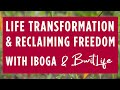 Iboga for life transformation-  4 Months Post Ceremony