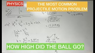 How high did this projectile motion go?