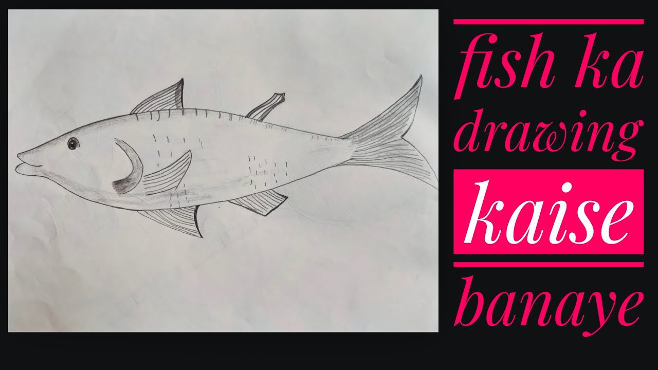 fish ka drawing kaise banaye YouTube