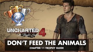 Uncharted 4 • Chapter 11 • Don't Feed The Animals Trophy Guide screenshot 3
