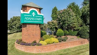 Living in Adams Farm, NC: The Ultimate Local Guide | Homes.com