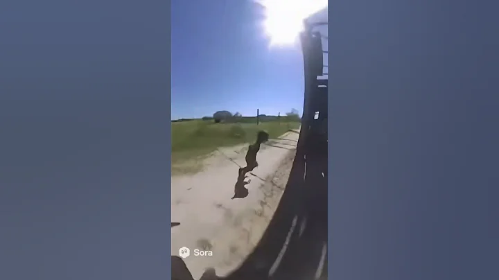 Alien gets arrested by Police (Bodycam) SORA 2 AI #sora2 #ai