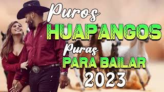 Huapangos Pa' Bailar 2023 - Puros Huapangos Mix Puras Norteñas Para Bailar - Sus Mejores canciones