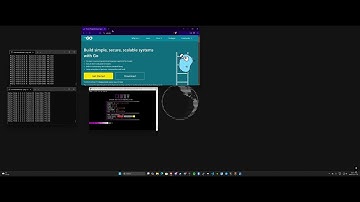Cindy C2 Network Showcase Best Botnet Showcase Best Botnet C2/BOTNET/API VS GO[.]DEV