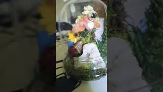 tour of room py3