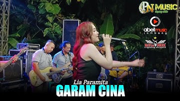 GARAM CINA || LIA PARAMITA ft PN Music Goyang Sikile - ABELL Music Live Kesamben Jombang 