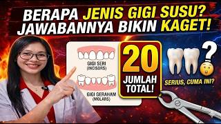 Macam Macam Gigi Susu Pada Anak Dan Fungsinya