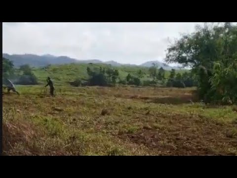 EP- 350 Update sa farm#farm life