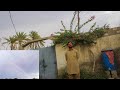 Finally  showing you turbat weather rain  balochi vlog