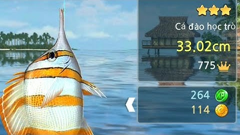 GAME Lưỡi Câu : tiếp tục với hành trình câu cá trên điện thoại