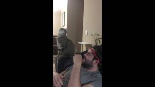 Super Funny Cat & Dog Videos 13