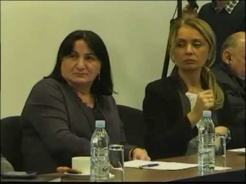 მედიამონიტორინგის შუალედური დასკვნის შედეგები