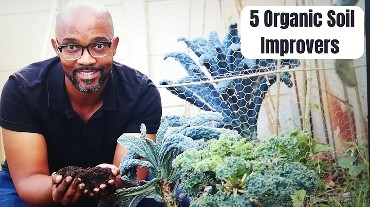 5 Ways to organicly improve your garden soil