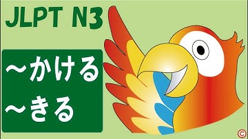 ～かける、～きる: Usage, Examples & Tips (JLPT N3 Japanese Grammar)