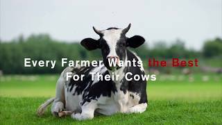 Cowcoon Promo Video