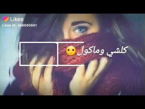 تريد تروح بي بي باي ماحجي