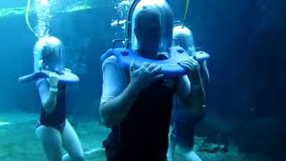 Neels Ocean Walk -  uShaka Marine world KZN (South Africa) 2016