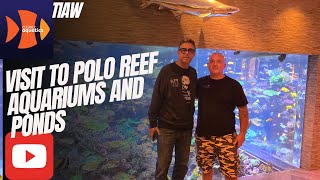 Visit to one of the worlds largest private Reef aquariums polo_reef MASSIVE AQUARIUM!