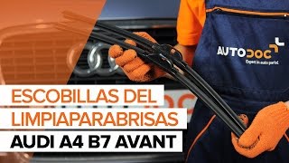 Cómo reemplazar Escobillas de limpiaparabrisas AUDI A4 Avant (8ED, B7) - tutorial