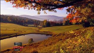 nature song instrument no copyright screenshot 3