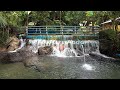 Tinago Spring Falls | Brgy. Ayahag St. Bernard Southern Leyte | ATAN TV VLOG