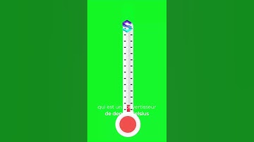 Erreur Python Classique : Cet oubli coûte cher ! Découvrez le secret pour maîtriser l