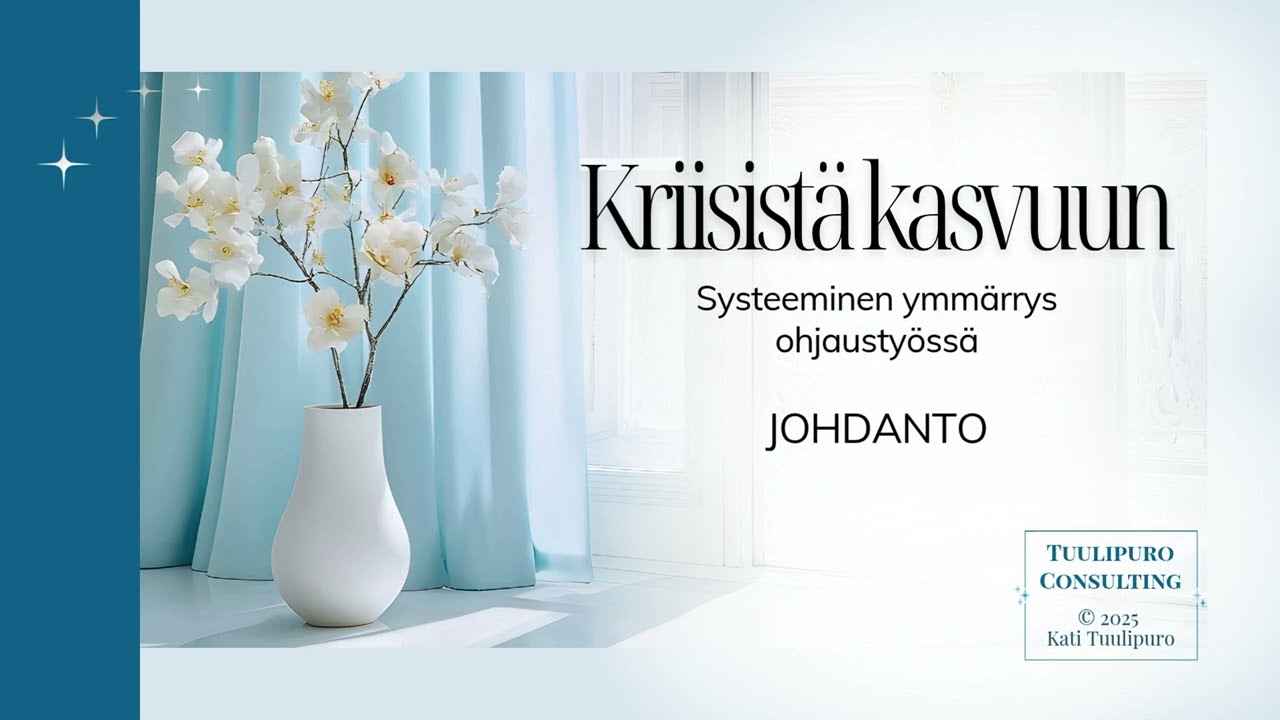 Systeeminen ymmärrys ohjaustyössä