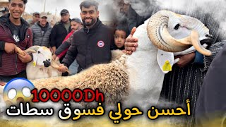 سوق سطات حماسي وفيه خيول فالمستوى جات عندنا قناة الأولى . وعماد دار مفاجأة وشرا أحسن حولي في سوق😱..