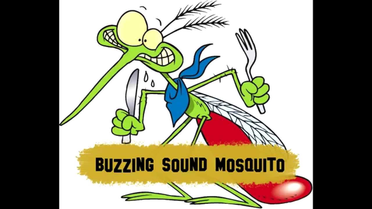 Mosquito fly (sound)