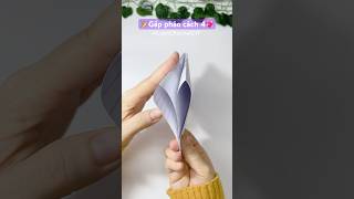 Gấp Pháo Giấy Nổ Siêu To - Cách 4 Liam Channel