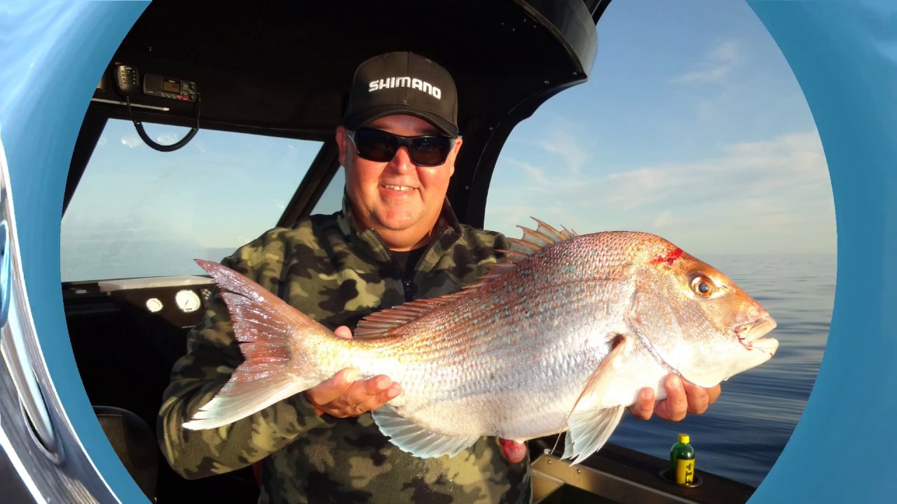 Easter King Snapper - YouTube