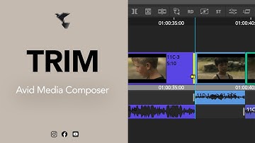 TRIM - TUTOTIPS AVID MEDIA COMPOSER