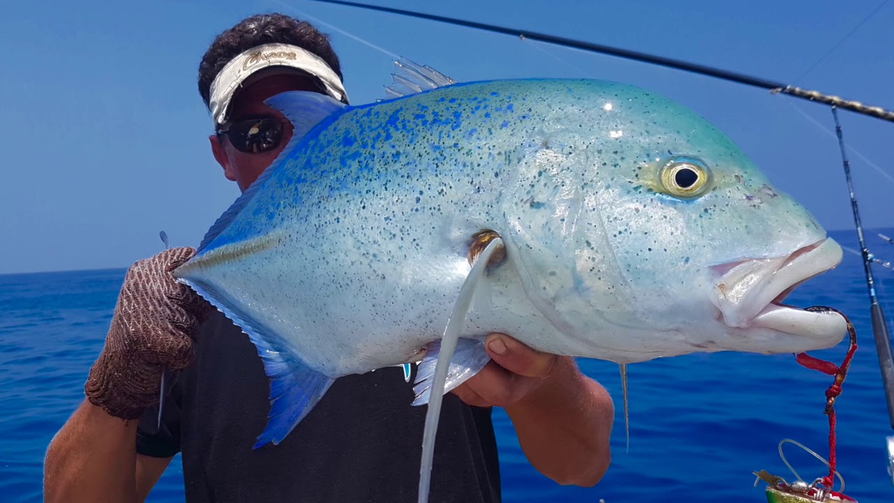 Nambas Fishing Charters Vanuatu 2016 YouTube