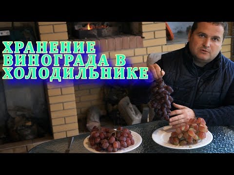 Хранение винограда в холодильнике ( Storage of grapes in the refrigerator)