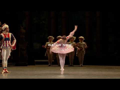 Sleeping Beauty Stream 169 - Sleeping Beauty Stream 169