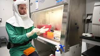 Training infectious disease research leaders Wealth