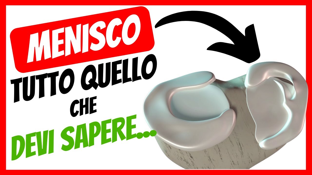 🟢 MENISCO: Com'è FATTO | Come si ROMPE | Come si CURA | Perchè una LESIONE del menisco è IMPORTANTE