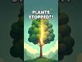 The Day Earth Stopped Breathing#Photosynthesis#ScienceFacts#WhatIf#ClimateScience#EarthScience