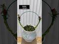 Sunflower basket design! #PlantingTips #FlowerGrowthKnowledge #TheJoyOfGrowingFlowers #bonsai