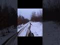 Deer jumping and shoot down #охота #hunting #wildlife #загоннаяохота #bowhunting #deer #huntinglife