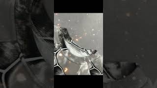 May 28 2026