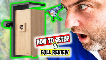 Birdfy Nest | Best Nest Box 2024 | World’s 1st Dual-Camera Smart Birdhouse Camera