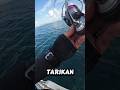 tarikan ikan besar‼️ #viralvideo #mancing #shortvideo #belajarmancing #fishing #castingikanharuan