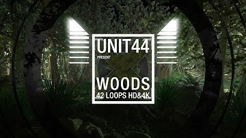 Vj loops - Unit44 loop pack Woods 1